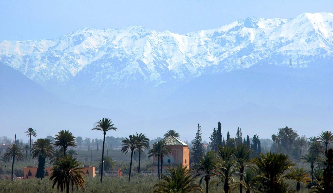 Top Things to Do in Marrakech